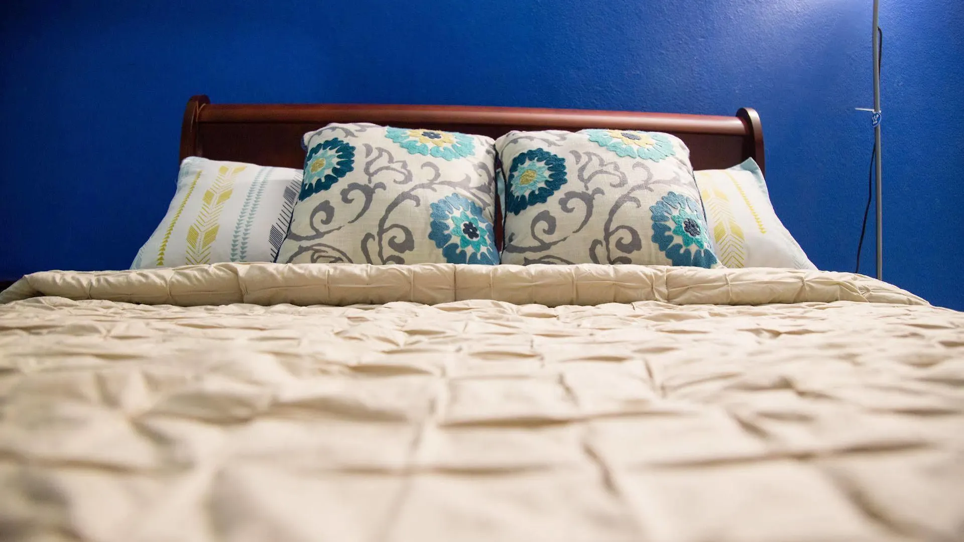 New Kingston Guest Apartment At Westbury Τζαμάικα