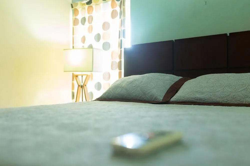 New Kingston Guest Apartment At Westbury